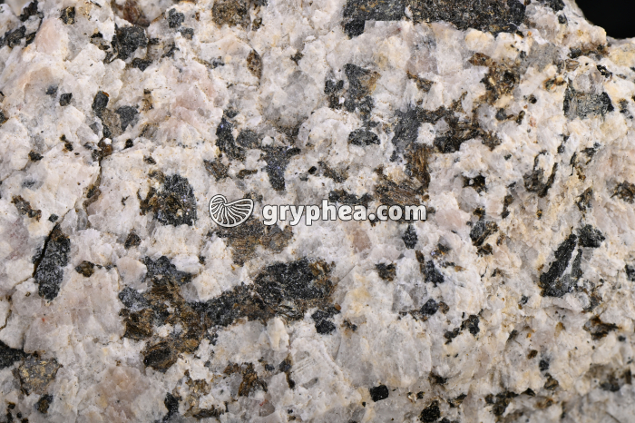 Granite - altération des minéraux - gryphea.org